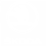 Skoda Logo