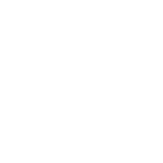 BMW Logo